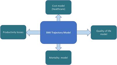 A New Model for Evaluation of Interventions to Prevent Obesity in Early Childhood